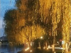 -天鹅湖体育公园