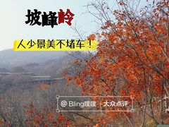 -周口店坡峰岭风景区