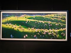 -罗红摄影艺术馆