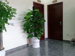 -张钰强中医正骨推拿连锁(唐家人才公寓店)