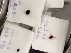 -北京赛佳动物医院