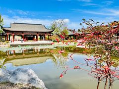 -上海滨江森林公园