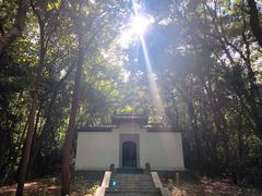 -青龙山国家森林公园