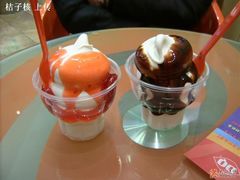 草莓新地和巧克力新地-DQ(西苑店)