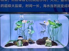 -重庆欢乐海底世界