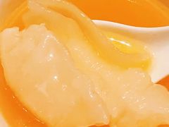 -汤城·料青山