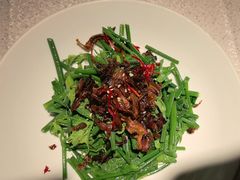 炝油黑皮鸡枞拌麦瓜尖-云腾食府·云南菜