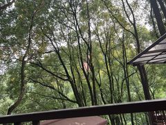 -巴倒烫陆派重庆火锅(南山店)