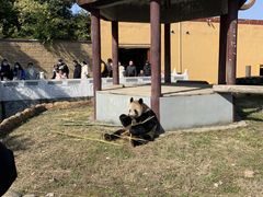 -杭州野生动物世界