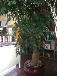 -塞巴斯汀SEBASTIAN专业美发店