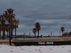 -涉地可支