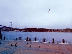 -Tarihi Sultanahmet Köftecisi Selim Usta