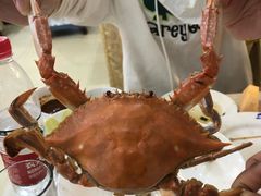 -春华海鲜城(广场西苑店)