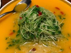 高山岩米菠菜苗-肴约·花园式餐厅(湖里店)
