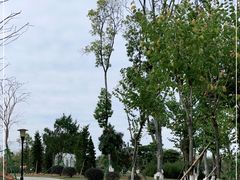 -东莞植物园