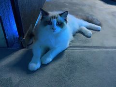 -零纪元VR体验馆·桌游(黄浦店)