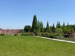 -宜兴龙背山森林公园