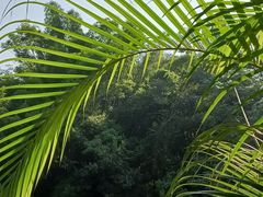 -神光山国家森林公园