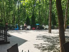 -合肥滨湖国家森林公园