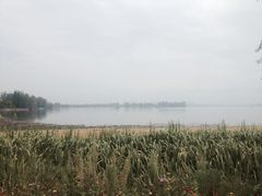 湿地-西昌邛海湿地