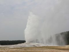 -老忠实间歇泉