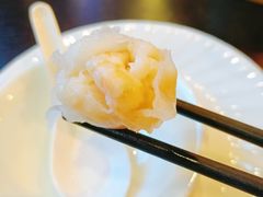 -添运来(茶园奥园广场店)