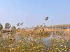 -野鸭湖国家湿地公园
