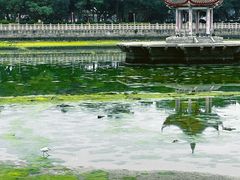 -龙舟池