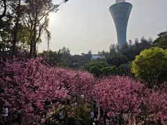 -狐尾山公园