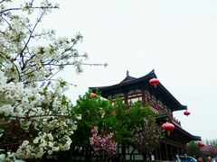 -西安青龙寺遗址景区