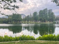 -四海公园(南山区)