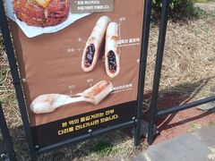 -济州森林小火车生态公园