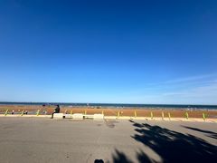 -日照海滨国家森林公园