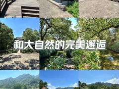 -古堰画乡景区