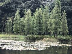 -广州市石门国家森林公园