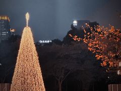 -blend咖啡部落(卓悦中心店)