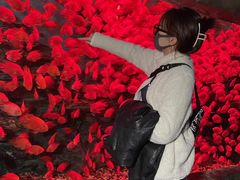 -多彩贵州城极地海洋世界