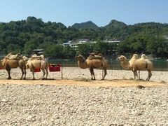 -楠溪江风景名胜区