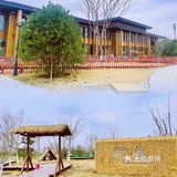 北京遛娃 |森林奇趣乐园🦌与小鹿一起奔跑