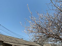 -清风小镇闯关东影视基地