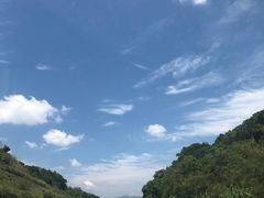 -T館·花园艺术餐厅