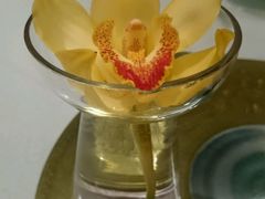 -眉州东坡(华联万柳店)