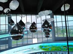 -漩门湾国家湿地公园