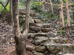 -牛鱼嘴原始生态风景区