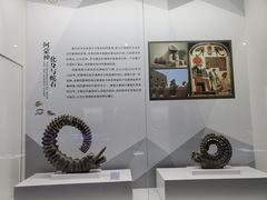 -贝壳王国博物馆