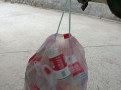 -大觉寺-停车场