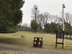 -宝界山林公园