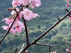 -福清灵石山国家森林公园