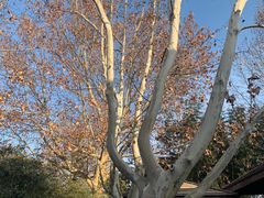 -春晖园度假酒店温泉