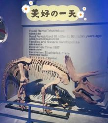 -恐龙探索乐园(磁器口店)